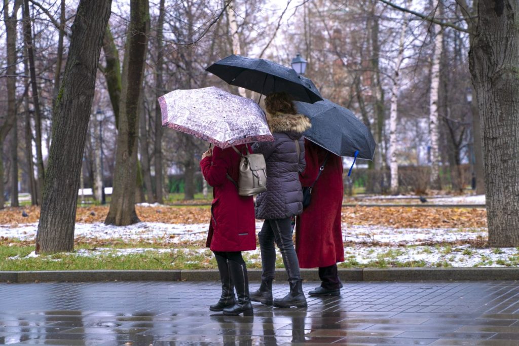 Заморозки, мокрый снег и колебания давления: синоптик предупредил о непогоде в Москве