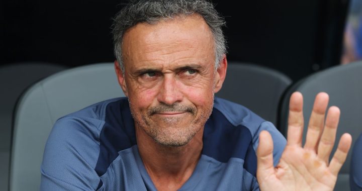 Тренер «ПСЖ» Луис Энрике: надеюсь, игроки «Фонтене» получат удовольствие в субботу