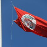 Экс-капитан «Вест Хэма» Нолан: Кэрролл не хотел уходить из «Ньюкасла»