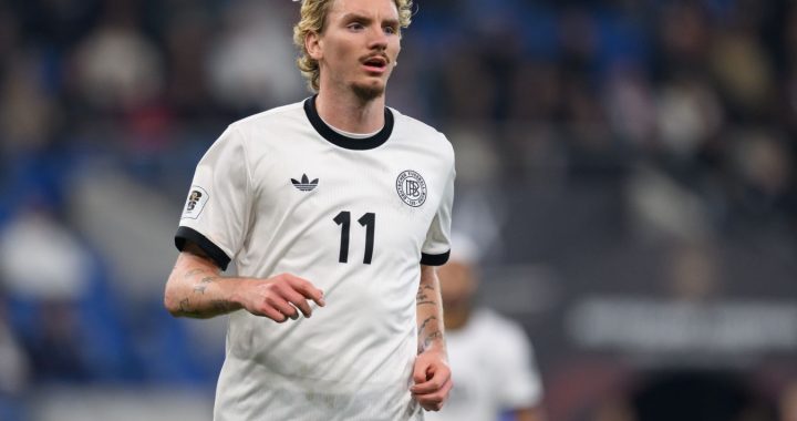 Вольтемаде отреагировал на критику в свой адрес